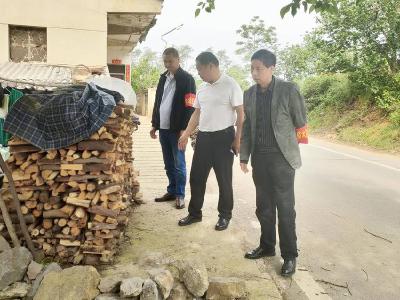 夯实林长责任　强化疫木清理