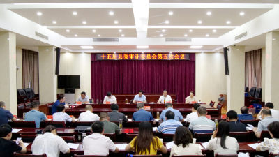罗兴斌：持续提升审计监督服务效能，为全县经济社会高质量发展提供有力保障