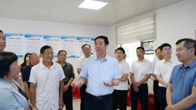 罗兴斌：坚持在“六个再”上下功夫，切实推进基层治理体系框架试点工作落实落细 