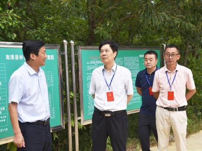 县人大常委会专题调研全县林长制执行情况