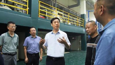 罗兴斌调研重点企业生产和重点项目建设，强调以“不进则退、慢进也是退”的紧迫感，加快推进重点项目早建成早达效