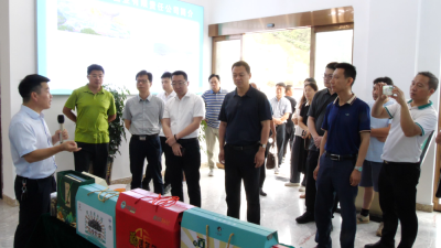 市科技局调研组到我县开展“科技特派员惠民下乡暨集中服务月”活动              