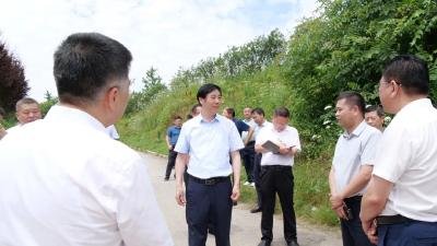 罗兴斌：精准施策，真抓实干，加快推动项目建设提速提质提效