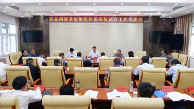 罗兴斌：不断优化完善试点工作方案，以实际效果推动基层治理体系建设创新发展 