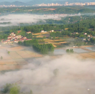 “芒”有所获 “种”有所得