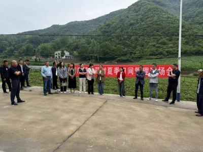 ​李庙镇召开中药材夏季田间管理现场会