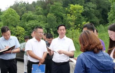 罗兴斌到九集镇调研国债水利项目建设工作，要求全力提速提质提效
