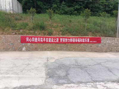​板桥镇：平安建设进万家