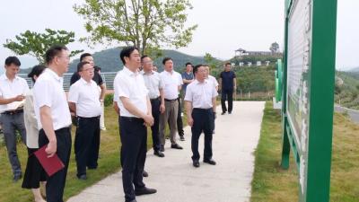 罗兴斌：因地制宜推动农业产业持续壮大，让群众共享更多发展成果