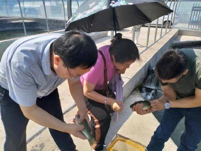 省水产专家团队到我县开展设施渔业调研与技术服务