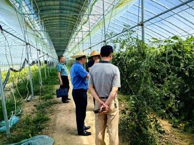 市农业农村局检查组到我县指导农产品质量安全监管工作