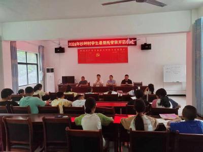 沙坪村：暑期托管 “托”出欢乐