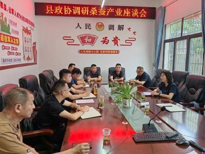 县领导调研桑蚕产业链发展工作