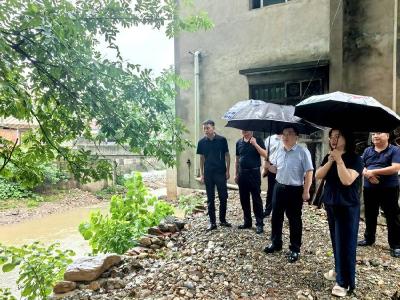县领导检查我县部分河道防汛备汛情况