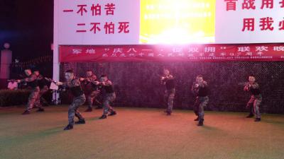 我县举办军地“庆八一 促双拥”联欢晚会