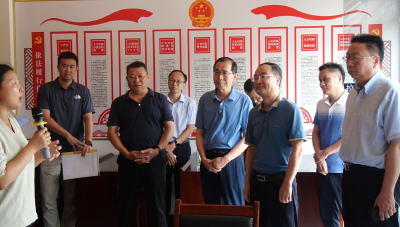 安徽省铜陵市人大常委会考察组到我县学习交流         
