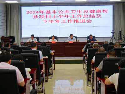 《健康南漳》我县举办2024年基本公卫及健康帮扶项目上半年工作总结及下半年工作推进会