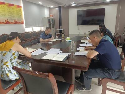 县统计局召开党建工作汇报会