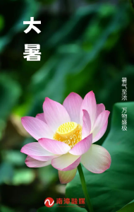 时逢大暑至，万物正韶华