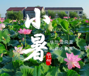 二十四节气丨倏忽温风至，因循小暑来