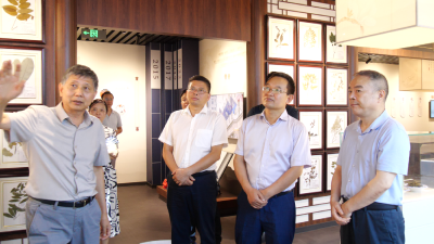 市领导到我县调研道地药材产业链发展工作