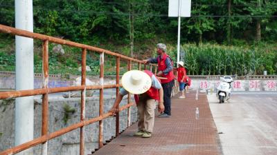 李庙镇鱼泉河村：环境整治显成效 和美乡村焕新颜   