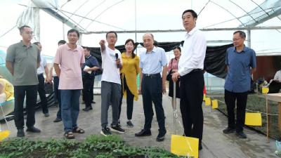 张柏青到南漳调研乡村振兴、产业发展和关爱留守儿童等工作 