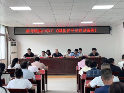 湖北南漳：聚焦法治之力 筑牢平安之基