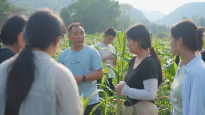 湖北南漳：青春筑梦乡村行 电商下乡传薪火