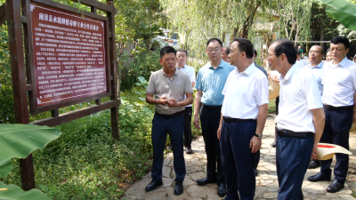 市领导到我县开展实施强县工程工作情况专题调研  