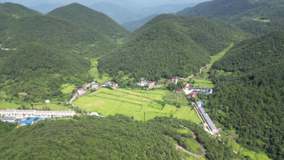 湖北南漳：产业一起谋 村民共致富