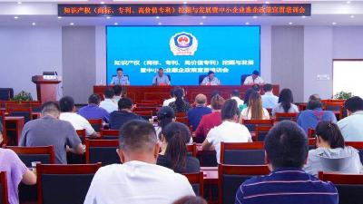我县开展知识产权挖掘和惠企政策宣贯培训
