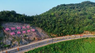 “跑遍南漳” 活动启动 首站打卡隆七路 