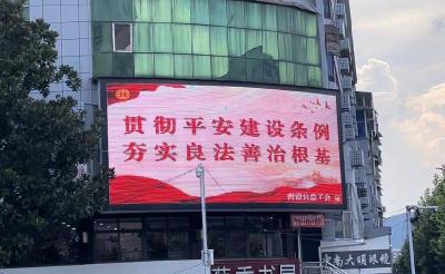 县总工会多举措开展《湖北省平安建设条例》宣传月活动