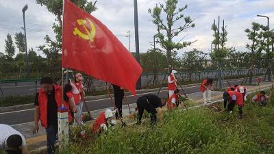 县农技中心开展垃圾清扫和卫生治理实践活动