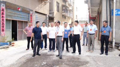 县人大常委会开展重大民生实事项目办理情况专项检查