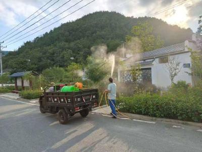 ​板桥镇开展防蚊灭蚊爱国卫生专项运动