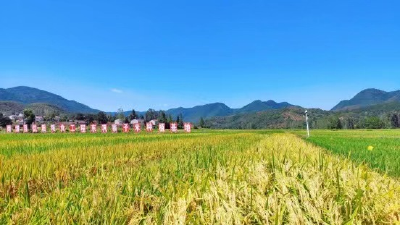《项目建设年》东巩镇：聚焦聚力抓项目，全心全意服务企业