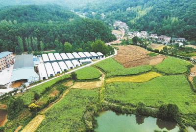 南漳县双坪社区： 产业多点开花 发展节节攀高