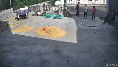 假亲戚上门真“借”钱  独居老人防不胜防
