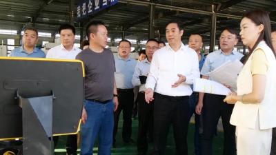 罗兴斌调研重点项目时强调：发挥优势提质增效，打造具有核心竞争力的产业集群