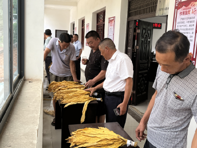 县烟草专卖局：“点点相扣”助力烟叶收购