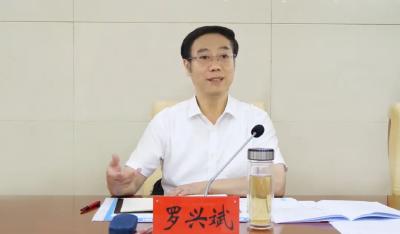 罗兴斌：强龙头补链条聚集群，全力推动电子信息产业做大做强做优 