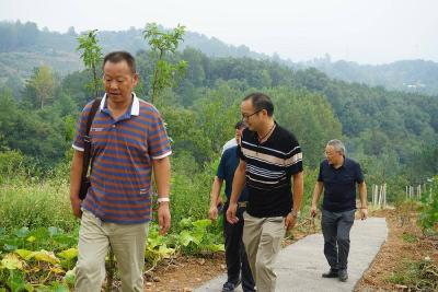 ​肖堰镇财政所老中青干部共话资产盘活建设成果