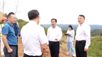 市领导到我县开展巡林工作
