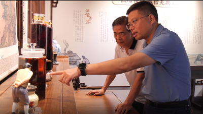 县领导调研道地药材产业链建设情况