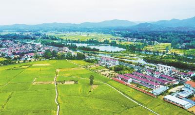 南漳县郭家土城村：好风景带来好“钱景”