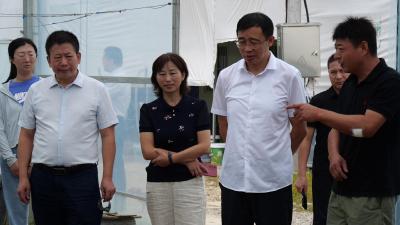 台盟湖北省委会领导到我县调研