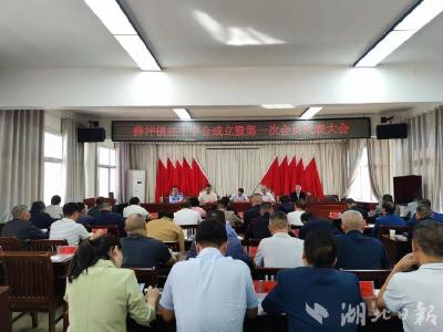 ​薛坪镇召开红十字会成立暨第一次会员代表大会