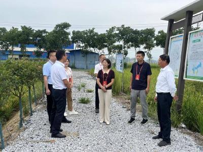 县政协对高标准农田建设开展民主监督